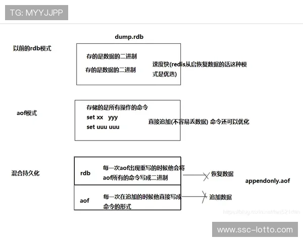订阅制服务模式兴起，健身管理从单次消费转向长期服务