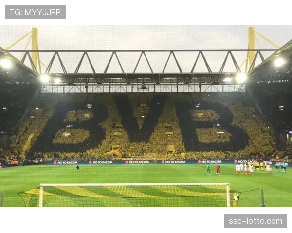 花絮：看台惊现巨型TIFO，多特蒙德主场致敬罗伊斯